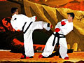 Taekwon-do, aby grać online