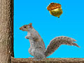 Acorn Toss, aby grać online