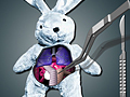 Save The Bunny, aby grać online