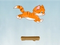 Kitty Jump, aby grać online