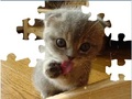 Cute Cat Puzzle, aby grać online