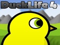 DuckLife 4, aby grać online