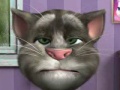 Talking tom, aby grać online