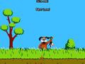 Duck Hunting, aby grać online