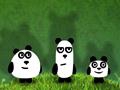 Panda Adventure, aby grać online