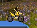 Hillblazer FMX, aby grać online